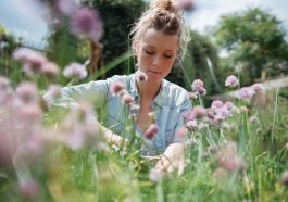 Gartenarbeiten im Juni - Tipps & Checkliste