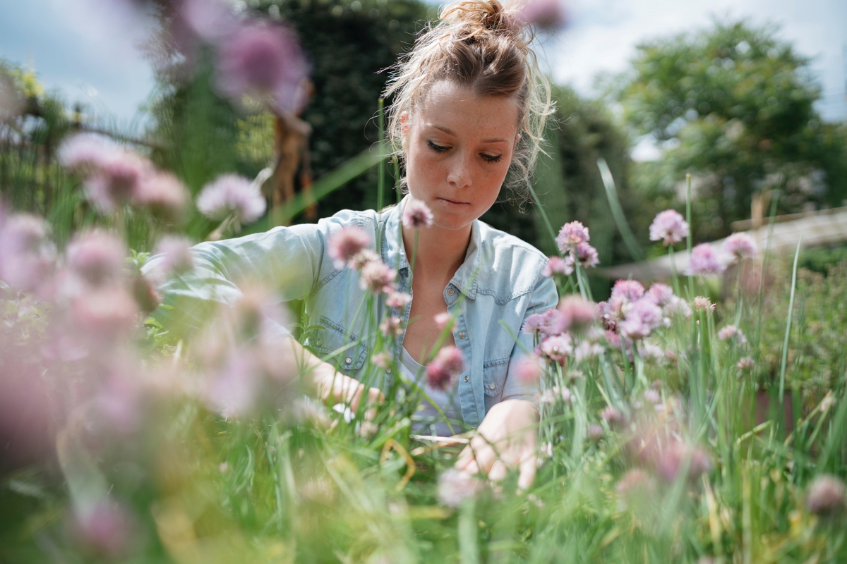 Gartenarbeiten im Juni - Tipps & Checkliste