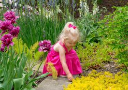 Bild: Kind entdeckt den Garten