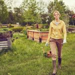 Gartenarbeit je nach Monat - Vorbereitung & Planung