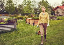 Gartenarbeit je nach Monat - Vorbereitung & Planung