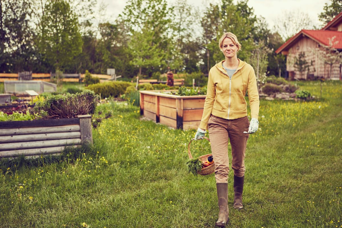 Gartenarbeit je nach Monat - Vorbereitung & Planung