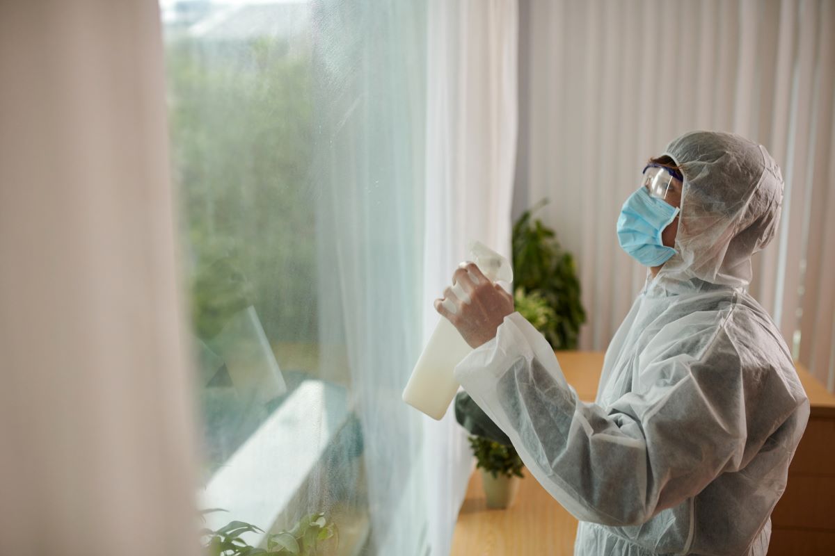 Schädlinge bekämpfen - ab und zu braucht man Profis