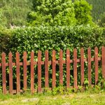 Kombination aus Pflanzen und Zaun für einen optimalen Sichtschutz