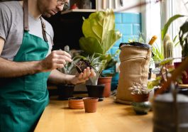 Die Untersuchung der Wurzeln ist bei allen Pflanzen wichtig - nicht nur bei der Hydroponik
