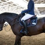 Regenwasser Nutzung am Reitplatz beachten