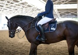 Regenwasser Nutzung am Reitplatz beachten