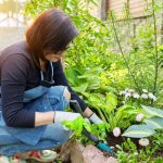 Ein schmales Beet im Garten anlegen - Pflanzen & Tipps beachten