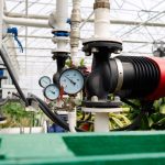 Die Gewächshaus Bewässerung bietet viele Vorteile