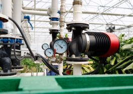 Die Gewächshaus Bewässerung bietet viele Vorteile