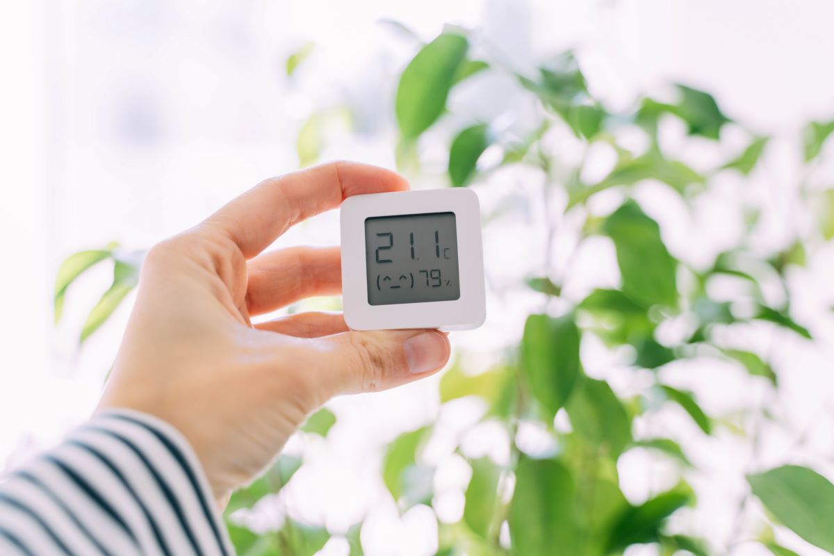 wie sollte die luftfeuchtigkeit in der wohnung sein