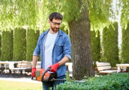 Darf mein Nachbar meine Hecke schneiden? - Kommunikation bringt oft gute Lösungen