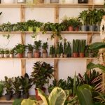 Das passende Regal für jeden Einsatzzweck wählen