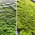 Moos vom Dach entfernen - Beispiele, Kosten, Vorteile - Ratgeber