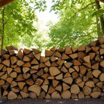 Brennholz richtig lagern - Tipps