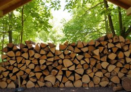 Brennholz richtig lagern - Tipps