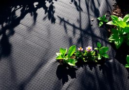 Wie funktioniert Unkrautvlies und ist es sinnvoll?