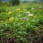Wie wirkt sich Unkraut auf die Bodenqualität aus?